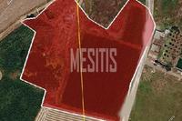 17325 SQM Land in Avgorou (Famagusta) for sale 