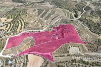 24904 SQM Land · Pera Orinis (Nicosia) for sale 
