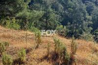 1440 SQM Plot · Moniatis (Limassol) for sale 