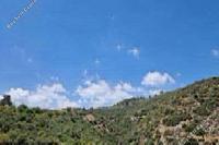 73050 SQM Land · Lofou (Limassol) for sale 
