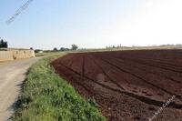 17325 SQM Land in Avgorou (Famagusta) for sale 