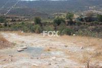 11940 SQM Land in Platanisteia (Limassol) for sale 