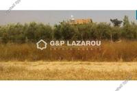 12208 SQM Land · Mazotos (Larnaca) for sale 