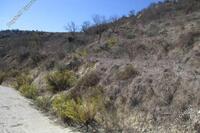 0 SQM Land in Tsada (Paphos) for sale 