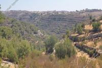 6355 SQM Land in Agios Therapon (Limassol) for sale 