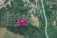 6689 SQM Land in Agios Theodoros Larnacas (Larnaca) for sale 