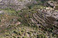 6355 SQM Land in Agios Therapon (Limassol) for sale 