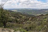 11706 SQM Land · Prastio (Paphos) for sale 
