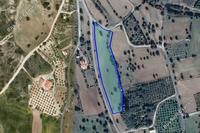 9303 SQM Land in Kalavasos (Larnaca) for sale 