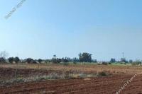 15311 SQM Land · Avgorou (Famagusta) for sale 