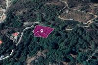 3105 SQM Land in Lemithou (Limassol) for sale 