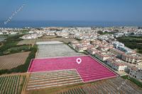 5510 SQM Plot · Kapparis (Famagusta) for sale 
