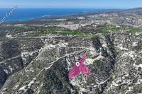 11037 SQM Land in Peyia (Paphos) for sale 