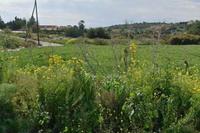 3011 SQM Plot · Maroni (Larnaca) for sale 