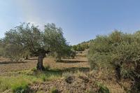 14084 SQM Land · Shia (Nicosia) for sale 