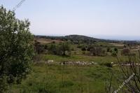 3639 SQM Land · Pachna (Limassol) for sale 