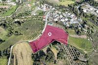 11037 SQM Land in Kannaviou (Paphos) for sale 