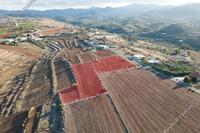 6355 SQM Land in Vyzakia (Nicosia) for sale 