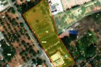 1952 SQM Plot in Zakaki (Limassol) for sale 