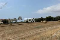 10216 SQM Land in Peyia (Paphos) for sale 