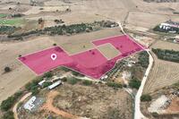 12088 SQM Land · Avgorou (Famagusta) for sale 