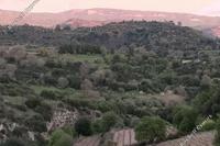 12710 SQM Land in Psathi (Paphos) for sale 