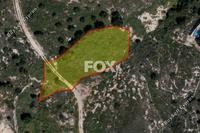 2007 SQM Land in Konia (Paphos) for sale 