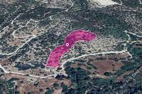 14047 SQM Land in Archimandrita (Paphos) for sale 
