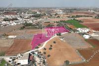 8346 SQM Plot in Xylofagou (Larnaca) for sale 