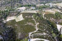25284 SQM Land · Trimiklini (Limassol) for sale 