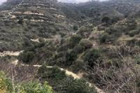 15441 SQM Land in Koili (Paphos) for sale 
