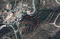 4465 SQM Land in Xyliatos (Nicosia) for sale 
