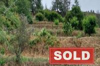 3494 SQM Land · Kakopetria (Nicosia) for sale 