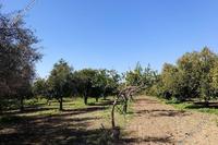  Commercial Building · Moni (Limassol) for sale 