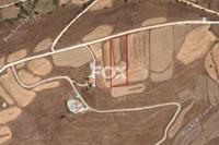 7000 SQM Land in Pano Arodes (Paphos) for sale 