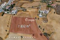 7832 SQM Land in Dali (Nicosia) for sale 