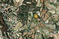 3011 SQM Land in Stroumbi (Paphos) for sale 