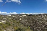 5017 SQM Land in Kato Drys (Larnaca) for sale 