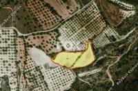 5686 SQM Land in Mesa Chorio (Paphos) for sale 