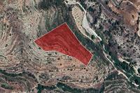 11037 SQM Land in Agios Therapon (Limassol) for sale 
