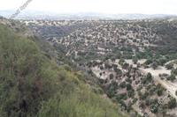 21238 SQM Land in Prastio Avdimou (Limassol) for sale 