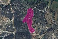 16392 SQM Land · Agios Isidoros (Paphos) for sale 
