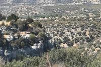 21238 SQM Land · Prastio Avdimou (Limassol) for sale 