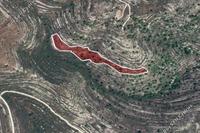 11037 SQM Land in Lofou (Limassol) for sale 