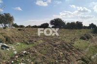 10369 SQM Land · Pachna (Limassol) for sale 
