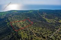 40135 SQM Plot in Pissouri (Limassol) for sale 