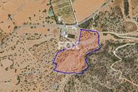38128 SQM Land in Kouklia Pafou (Paphos) for sale 
