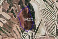 8362 SQM Land in Stroumbi (Paphos) for sale 