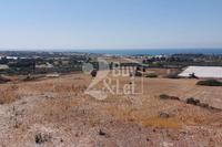 5500 SQM Plot in Zygi (Larnaca) for sale 