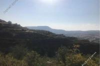 10368 SQM Land in Pachna (Limassol) for sale 
